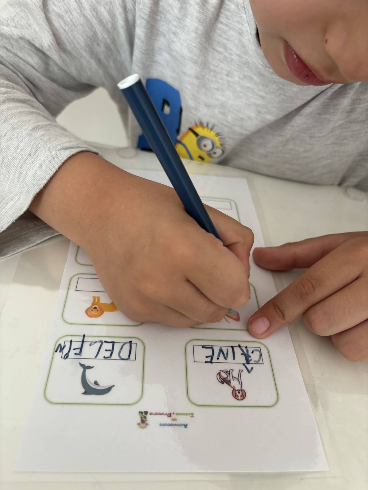 Therapy Play Kids — Clinică medicală